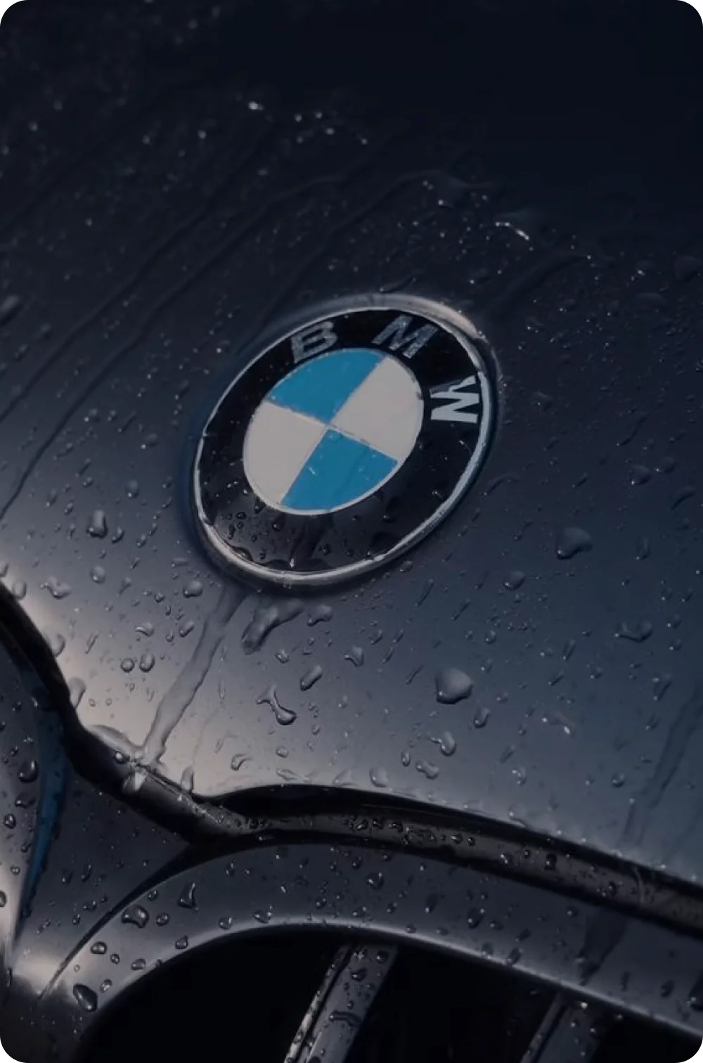 Превью видео: BMW 8 серии Gran Goupe